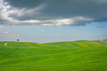 Campagna in aprile