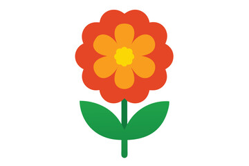 orange flower isolated on white