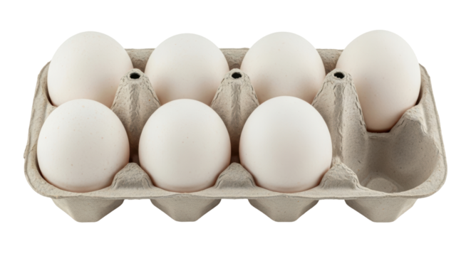 Isolated Carton of White Eggs in Recycled Paper Container