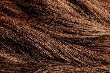 Close-up of Luxurious Brown Fur Hair Texture: A captivating close-up shot of a luxurious brown fur texture, showcasing its softness, warmth, and intricate details.