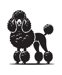 Illustration Poodle Dog Black Vector White Background
