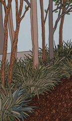 trees in the forest