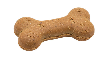 Isolated Bone Shaped Dog Biscuit Crunchy Treat