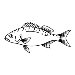Black and White Snapper Vector Graphic Design