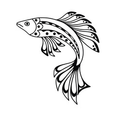 Stylized Snook Fish Illustration in Black Ink with Subtle Color Accents