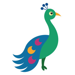 Fototapeta premium peacock isolated on white