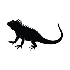 Obraz premium Iguana Walking Vector Silhouette