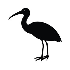 Ibis Sleek Vector Silhouette Design