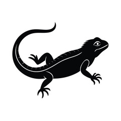 Fototapeta premium Lizard Side Crawl Vector Art