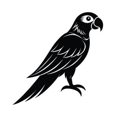 Fototapeta premium Macaw Clean Bold Vector Silhouette