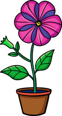 Petunia in flower pot vector with bold stem and pink petals