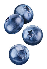 Flying blueberry isolated on white background
