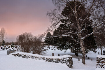 Snow on a cemetery and pink sky, Norway