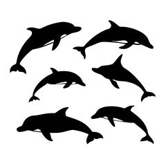 Fototapeta premium Set of Dolphins – Marine Animal Silhouettes and Vector Illustrations in Various Poses for Ocean Art, Sea Life Decor, Educational Resources, Wildlife Designs, and Nautical Graphic Projects