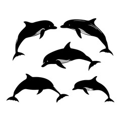 Fototapeta premium Set of Dolphins – Marine Animal Silhouettes and Vector Illustrations in Various Poses for Ocean Art, Sea Life Decor, Educational Resources, Wildlife Designs, and Nautical Graphic Projects
