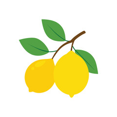 flat vector illustration of lemons with green leaves on white background