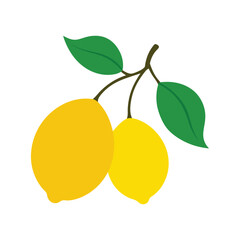 flat vector illustration of lemons with green leaves on white background
