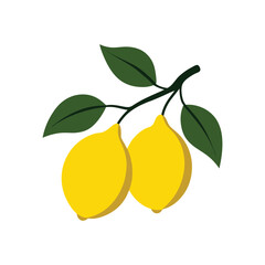 flat vector illustration of lemons with green leaves on white background