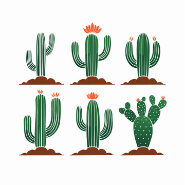 Ilustra&ccedil;&atilde;o de Cactos com Flores e Plantas Suculentas do Sert&atilde;o Nordestino