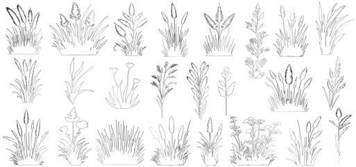 Obraz premium Plant elevation line silhouettes outline - grass, shrub, tree set