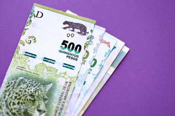 Argentine pesos money bills in big amount lies on purple color table close up