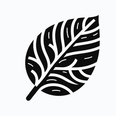 Obraz premium Etched Birch Leaf Illustration - Detailed Black and White Botanical Art43