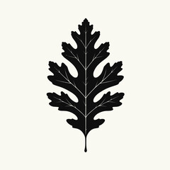 Fototapeta premium Etched Birch Leaf Illustration - Detailed Black and White Botanical Art30