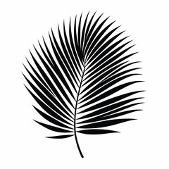 Etched Birch Leaf Illustration - Detailed Black and White Botanical Art26