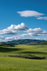 Fototapeta premium breathtaking view of sunny meadows in alberta filled with wildflowers and lush greenery