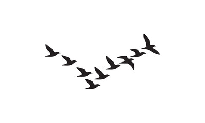 Flying Birds Formation