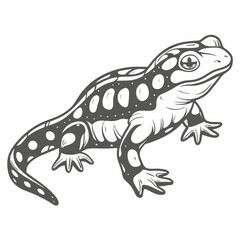 European Fire Salamander Vector Illustration