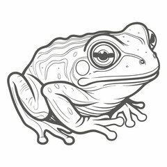 Mount Oku Caecilian Line Art Illustration