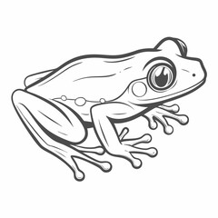Red-Eyed Tree Frog Outline Illustration