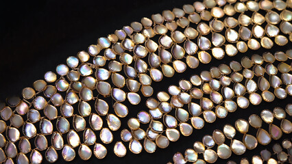 Gold and Mother of Pearl Embroidery