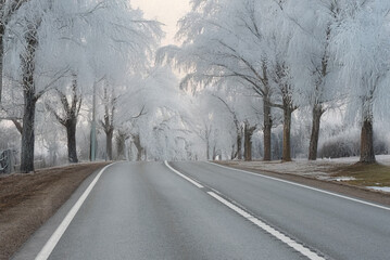 An empty asphalt road winds through a winter landscape with frost-covered trees and light snow patches on grassy areas under a gray sky.