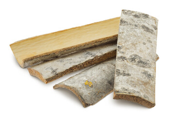 piece of aspen bark isolated on white background.