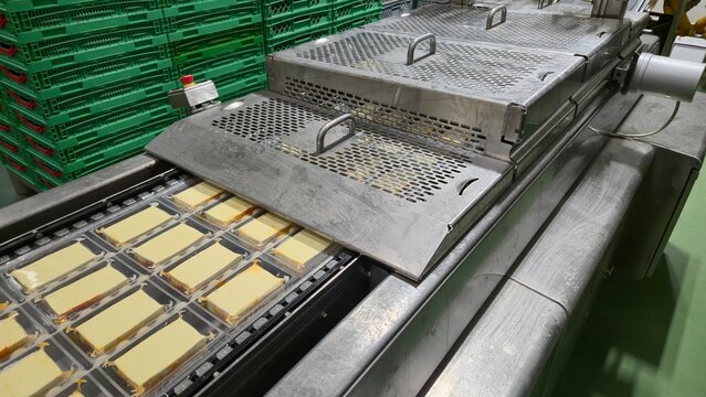 Vacuum thermoforming line for food packaging in tofu cheese factory