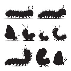 Caterpiller silhouette set, Black & White silhouette set