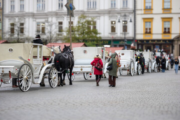 
A row of white horse-drawn carriages standing on a paved square, with people walking around and high-rise buildings in the background.