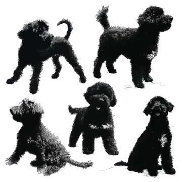 whoodle silhouette set, Black & White silhouette set