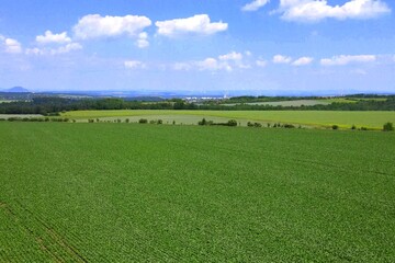 Land for sale and investment , aerial view. Include green field, agriculture farm. That real estate or property. Plot of land lot