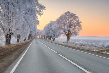 Fototapeta premium A frosty winter road lined with trees stretches into the horizon under a vibrant sunrise sky, casting a warm glow over the snowy landscape.