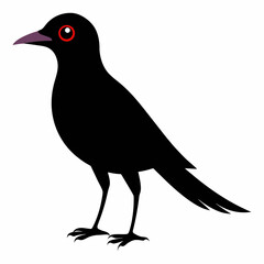 vector illustration of a bird