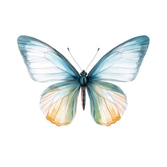 Fototapeta premium A watercolor butterfly, in light blue and pastel colors isolated on a transparent background