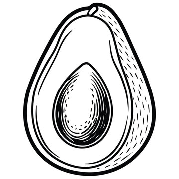 black and white avocado cut open clip art preview