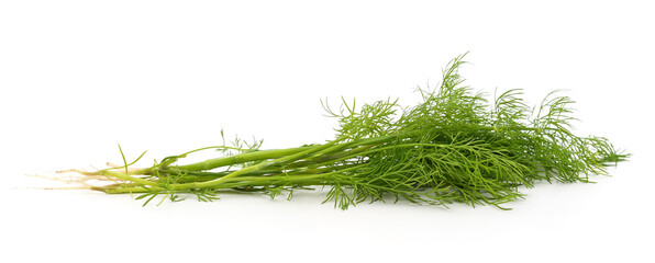 Bunch of fresh dill