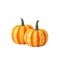 Fototapeta premium Two small orange and white striped pumpkins with green stems are displayed against plain background, showcasing their vibrant colors and unique patterns
