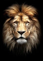 Naklejka premium Majestic Lion Portrait Capturing the Wild Spirit of Nature