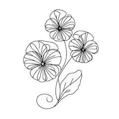 Three pansies, vector, black line drawing, minimalistic, single line, simple line, isolated, transparent background 
