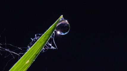 water drops on a blue background